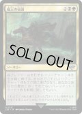 魔王の台頭/Rise of the Witch-king (LTR)《Foil》