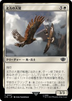 画像1: 北方の大鷲/Eagles of the North (LTR)