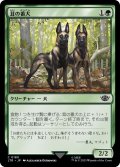 茸の番犬/Mushroom Watchdogs (LTR)