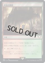 奔放の神殿/Temple of Abandon (40K)