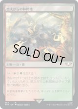燃えがらの林間地/Cinder Glade (40K)