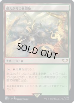 画像1: 燃えがらの林間地/Cinder Glade (40K)