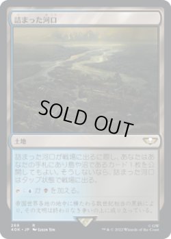 画像1: 詰まった河口/Choked Estuary (40K)