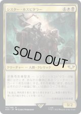シスター・ホスピタラー/Sister Hospitaller (40K)