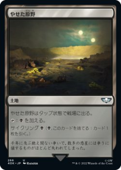 画像1: やせた原野/Barren Moor (40K)