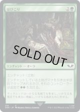 はびこり/Overgrowth (40K)