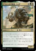 アラシンの守護者、ハムザ/Hamza, Guardian of Arashin (CMM)