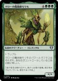 マローの魔術師モリモ/Molimo, Maro-Sorcerer (CMM)