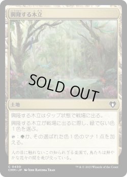 画像1: 興隆する木立/Thriving Grove (CMM)《Foil》
