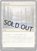 祖先の道/Path of Ancestry (CMM)
