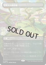 下生えの競技場/Undergrowth Stadium (CMM)【拡張アート版】