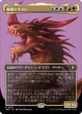 始祖ドラゴン/The Ur-Dragon (CMM)【プロファイル版】《Foil》
