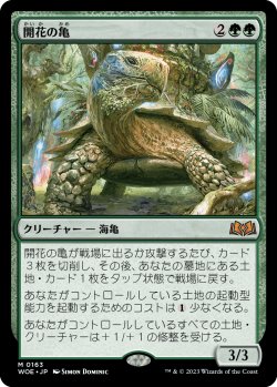 画像1: 開花の亀/Blossoming Tortoise (WOE)