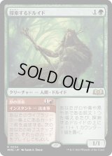 探索するドルイド/Questing Druid (WOE)