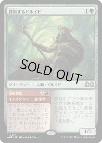 探索するドルイド/Questing Druid (WOE)
