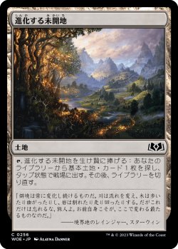 画像1: 進化する未開地/Evolving Wilds (WOE)