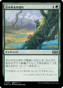 画像1: 豆の木をのぼれ/Up the Beanstalk (WOE)