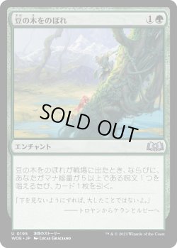 画像1: 豆の木をのぼれ/Up the Beanstalk (WOE)《Foil》