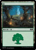 森/Forest 【Ver.2】 (WOE)