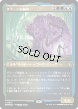 画像1: クラージ実験体/Experiment Kraj (CMM)【エッチング・フォイル版】