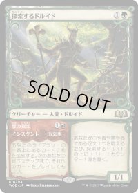 探索するドルイド/Questing Druid (WOE)【特殊アート版】