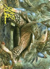 【イラストコレクション】 開花の亀/Blossoming Tortoise 【24/81】 (WOE)