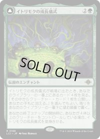イトリモクの成長儀式/Growing Rites of Itlimoc (LCI)《Foil》