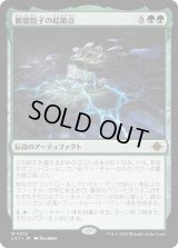 髑髏胞子の結節点/The Skullspore Nexus (LCI)