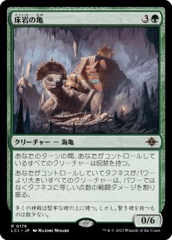 画像1: 床岩の亀/Bedrock Tortoise (LCI)