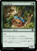 ヤドクガエル/Poison Dart Frog (LCI)