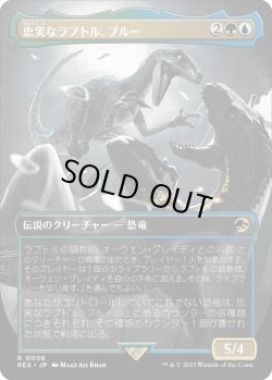 画像1: 忠実なラプトル、ブルー/Blue, Loyal Raptor (REX)