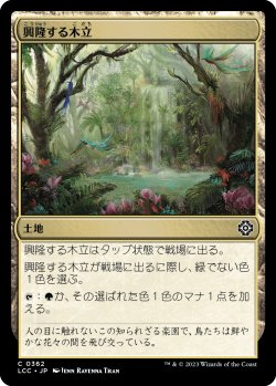 画像1: 興隆する木立/Thriving Grove (LCC)