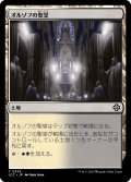 オルゾフの聖堂/Orzhov Basilica (LCC)