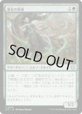 進化の賢者/Evolution Sage (LCC)
