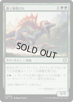 画像1: 轟く棘背びれ/Thundering Spineback (LCC)