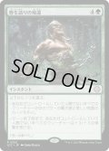 野生語りの帰還/Return of the Wildspeaker (LCC)