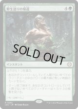 野生語りの帰還/Return of the Wildspeaker (LCC)