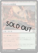 燃えがらの林間地/Cinder Glade (LCC)