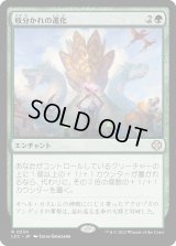 枝分かれの進化/Branching Evolution (LCC)