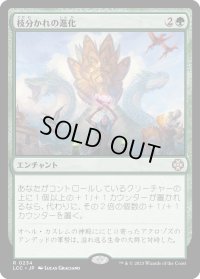枝分かれの進化/Branching Evolution (LCC)