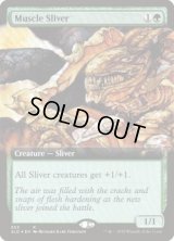 筋肉スリヴァー/Muscle Sliver (653) (SLD)《Foil》