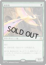 極楽鳥/Birds of Paradise (RVR)