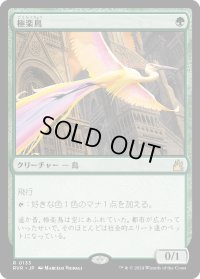 極楽鳥/Birds of Paradise (RVR)