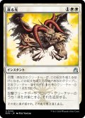 貪る光/Devouring Light (RVR)