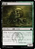 滑り頭/Slitherhead (RVR)