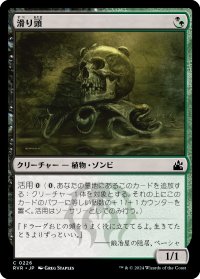 滑り頭/Slitherhead (RVR)