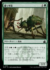 蠢く甲虫/Drudge Beetle (RVR)