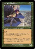 シラナの岩礁渡り/Silhana Ledgewalker (RVR)【旧枠版】