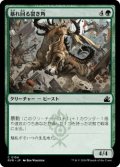 暴れ回る裂き角/Rampaging Rendhorn (RVR)《Foil》