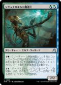 シミックのギルド魔道士/Simic Guildmage (RVR)《Foil》